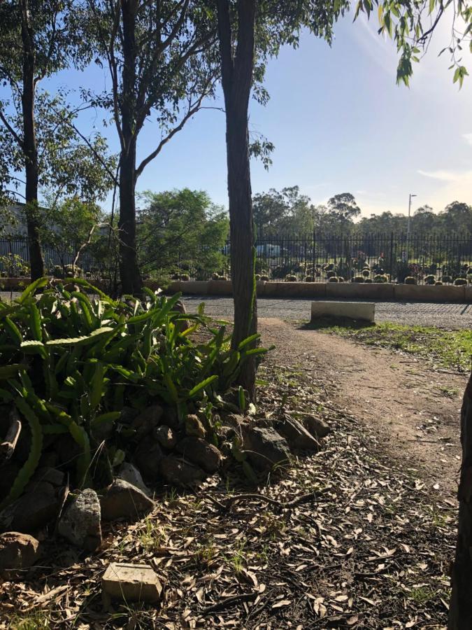 Australian Motor Home Tourist Park Twelve Mile Creek Karuah 외부 사진