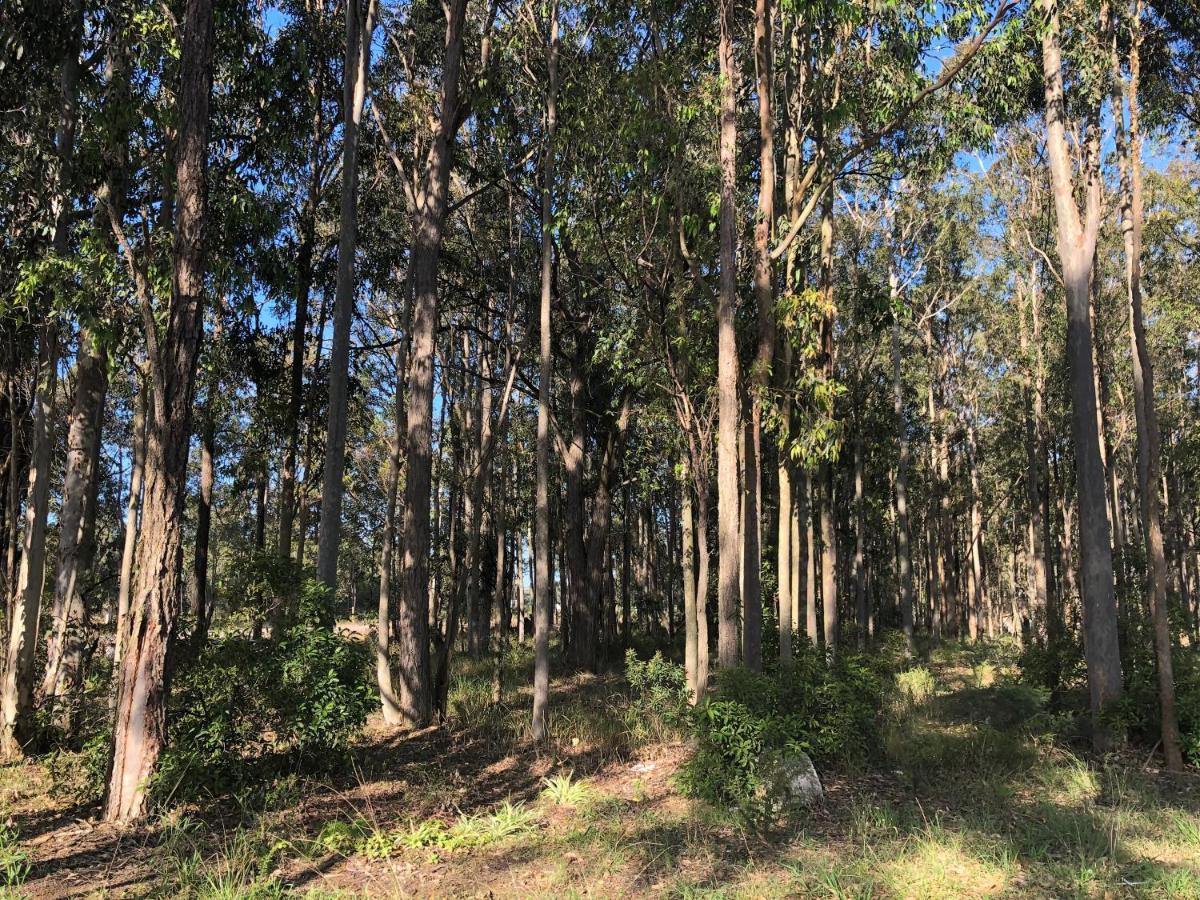 Australian Motor Home Tourist Park Twelve Mile Creek Karuah 외부 사진